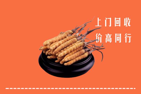 高价求购：琼中县回收散虫草