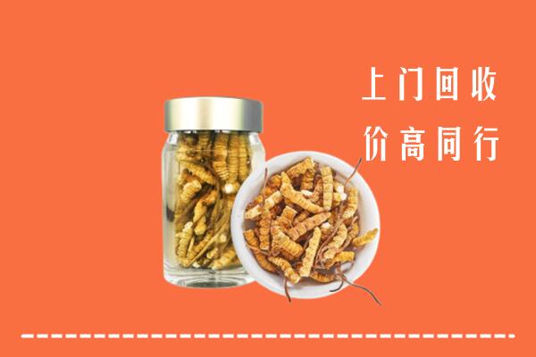 收购行情：琼中县回收冬虫夏草